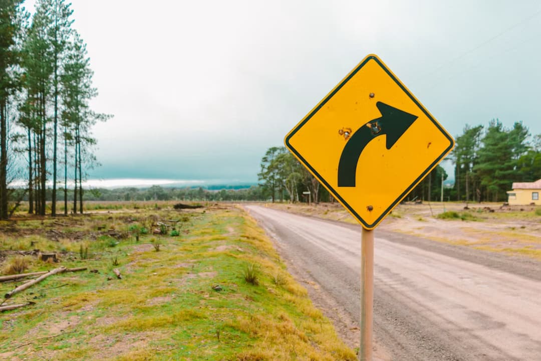Traffic Sign Recognition