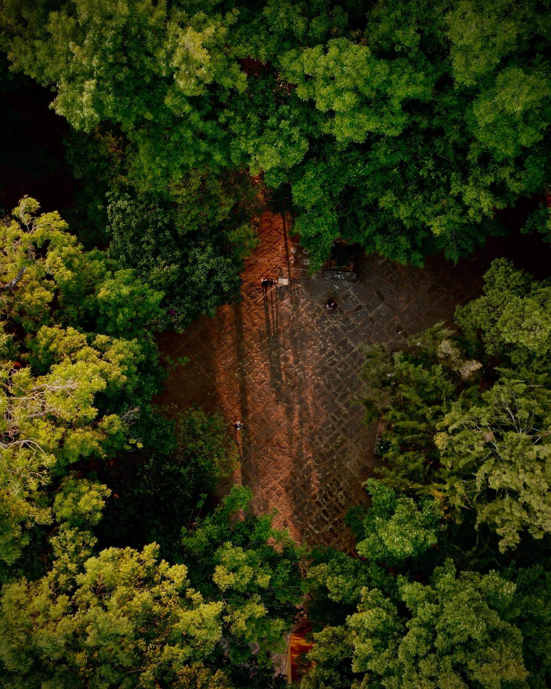 Land Cover Classification