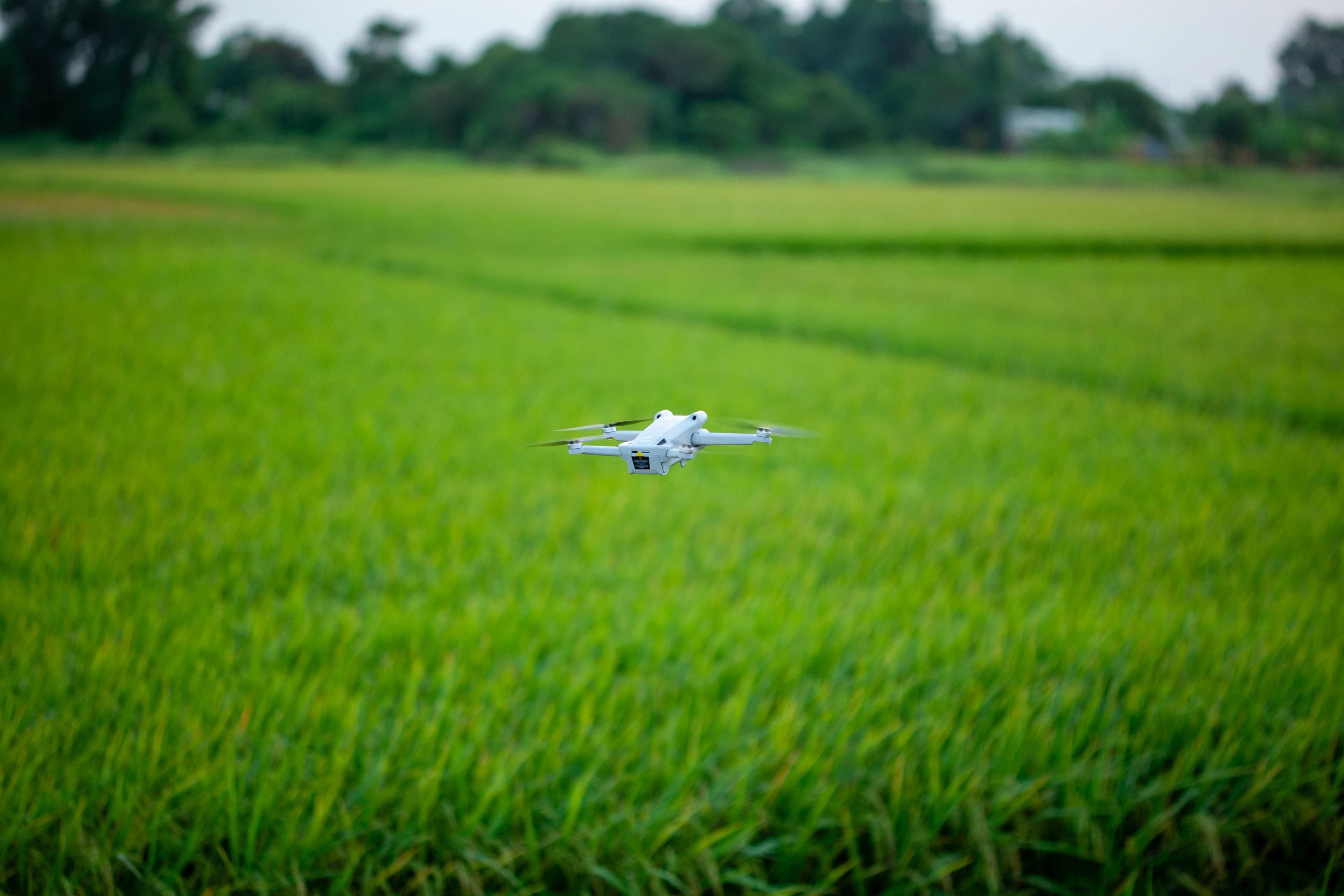 Drone aerial imagery annotation for mapping and geospatial AI