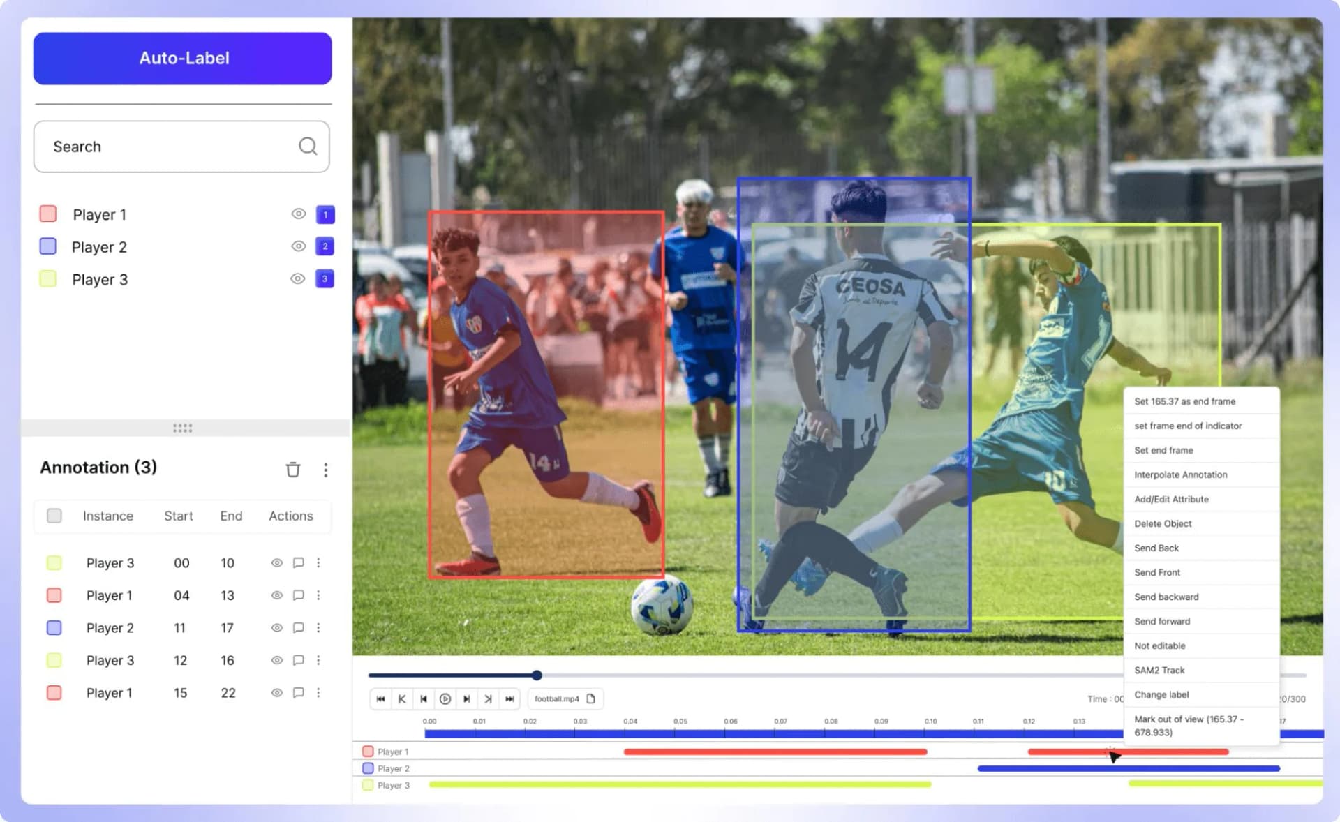 Professional video annotation for AI and machine learning
